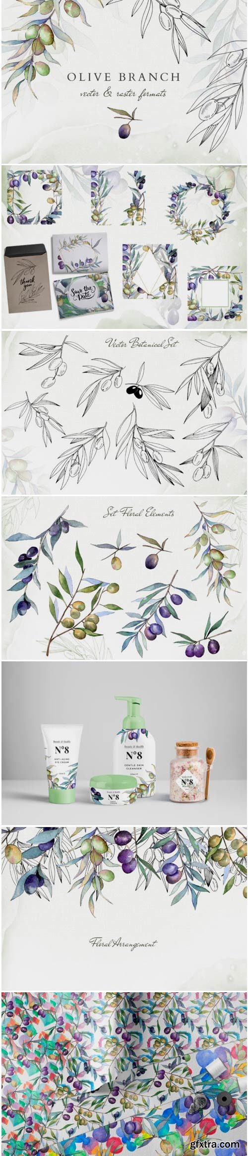 Olive Branches Collection Watercolor 1764780