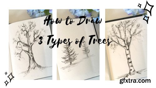 How to Draw 3 Types of Trees for Beginners