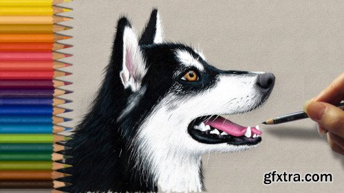 How to Draw a Siberian Husky Puppy
