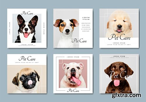 Pet care banner template vectors collection 845709
