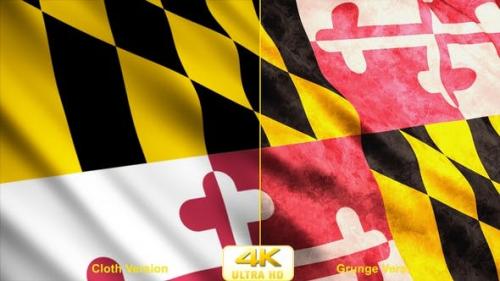 Videohive - Maryland State Flags - 24624605