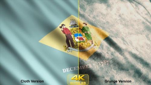 Videohive - Delaware State Flags - 24623871