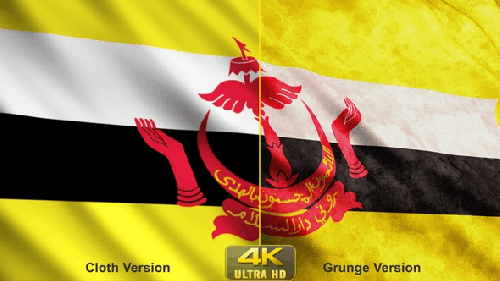 Videohive - Brunei Flags - 24630615