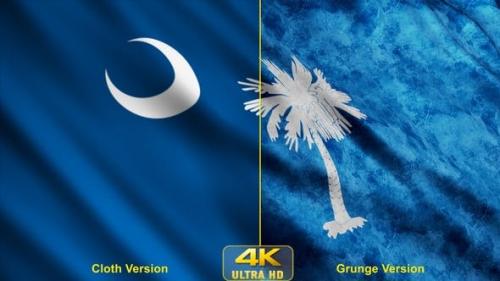 Videohive - South Carolina State Flags - 24628196