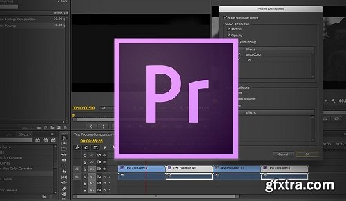 Introduction to Video Editing in Premiere Pro