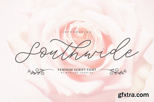 Southwide Calligraphy Font
