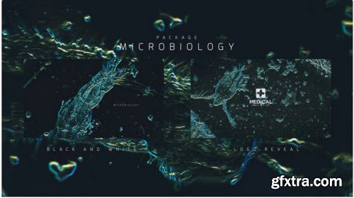Microbiology Package - After Effects 280194