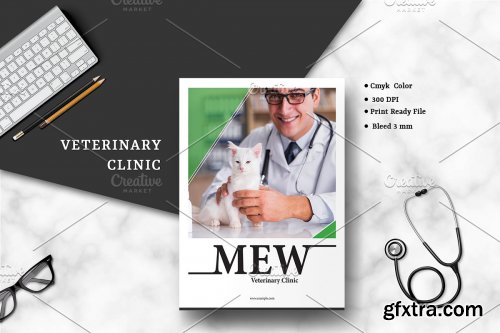 CreativeMarket - Veterinary Clinic Brochure V01 4062768