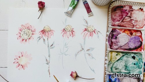 Painting Loose Watercolor Cone Flowers