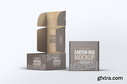 Carton Box Mock-Up v.1