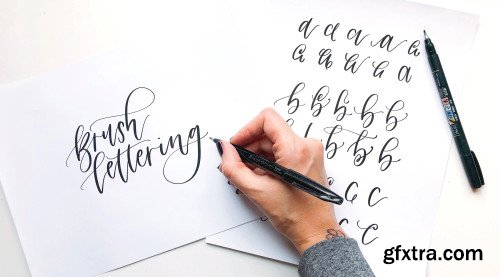 Brush Lettering 2: Alphabet Basics