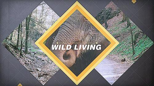 Videohive - Wild Living - 11565224