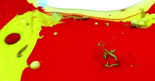 Ink Abstract Arty Pattern Color Paint Liquid Concept Texture 1