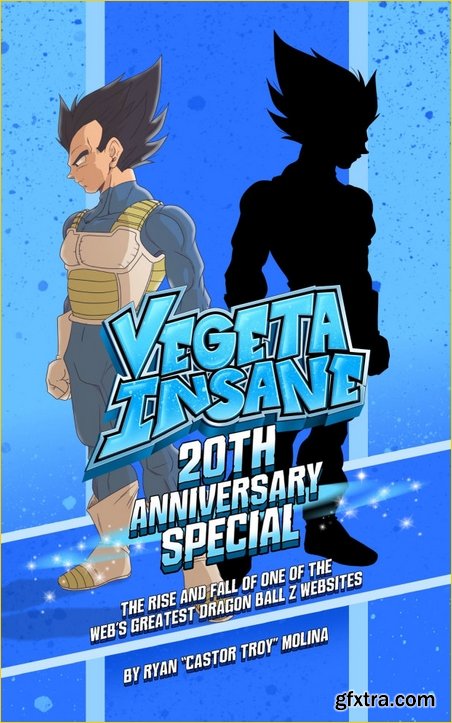 Vegeta Insane: 20th Anniversary Special: The Rise and Fall of one of the web’s greatest Dragon Ball Z Websites