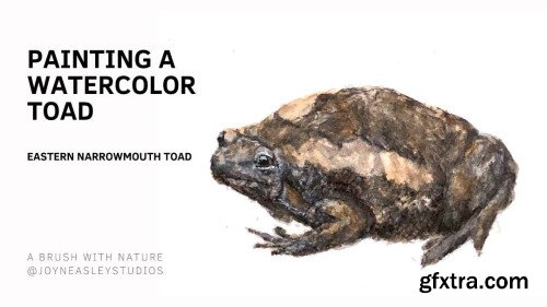 How to Paint Toads: Eastern Narrowmouth Toad