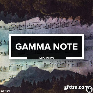 Audiotent Gamma Note MiDi-AwZ