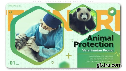 VideoHive Animal Protection Veterinarian Promo 24939415