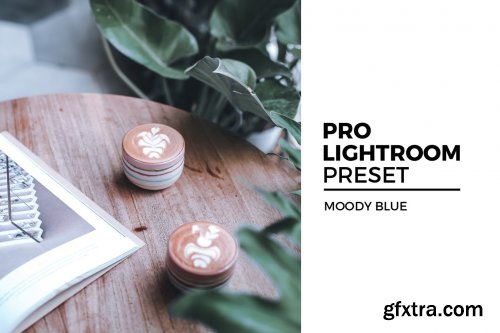 Moody Blue Lightroom Preset
