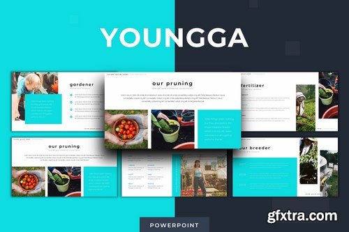 Youngga - Powerpoint Google Slides and Keynote Templates