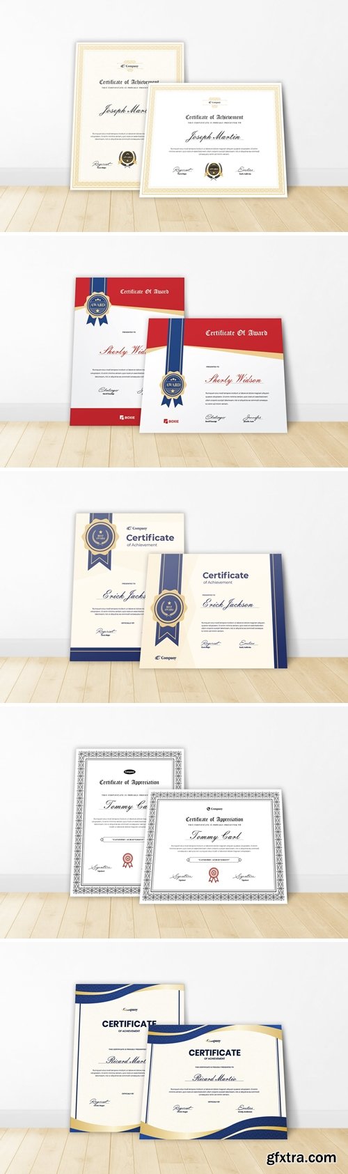 Certificate Bundle 6