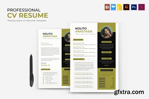 Professional | CV & Resume