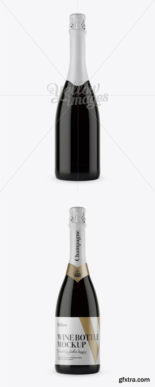 Dark Glass Champagne Bottle Mockup - Front View 12187