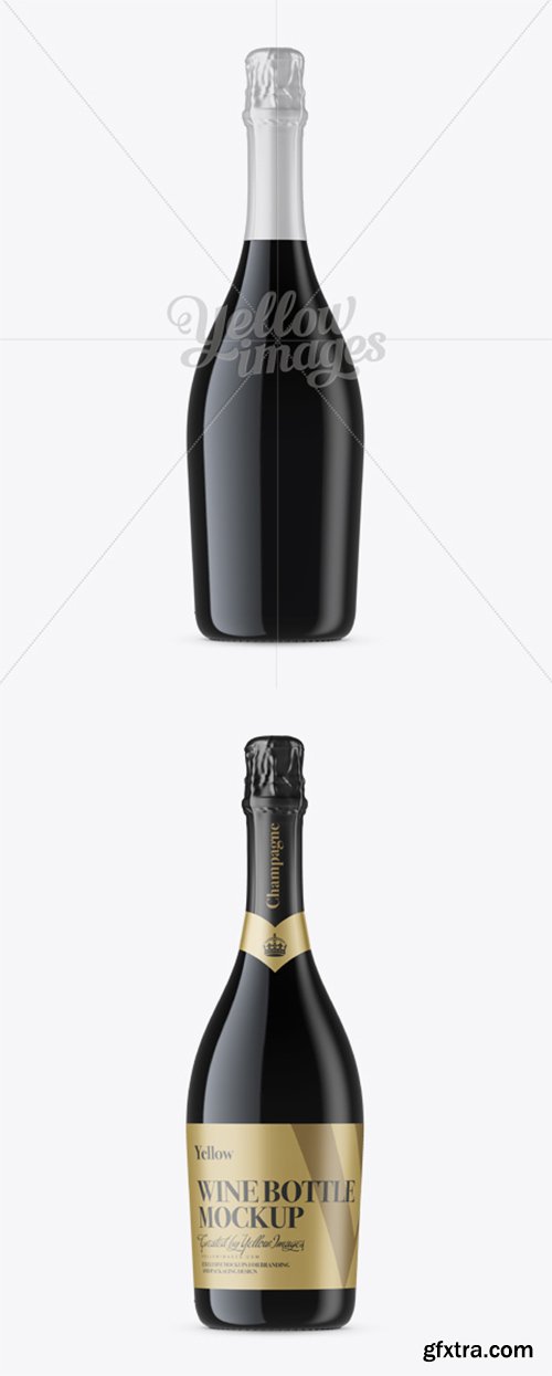 Dark Glass Champagne Bottle Mockup - Front View 12247