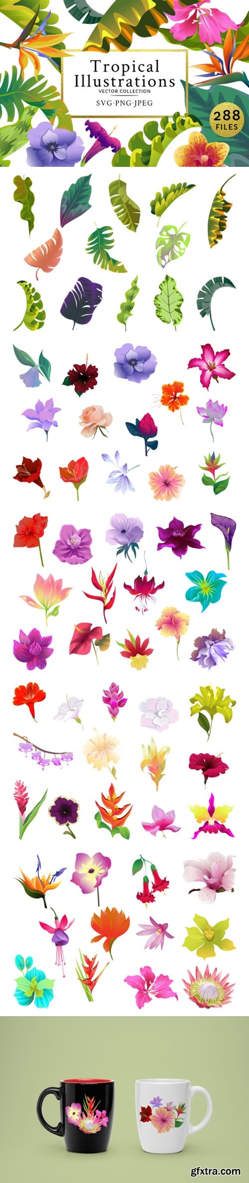 Flowers Tropical Illustration Pack Water 2011519
