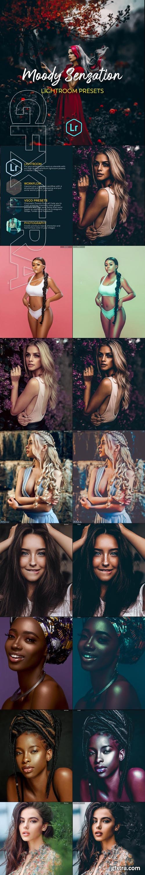 GraphicRiver - Moody Portraits Collection Lightroom Presets 24876957