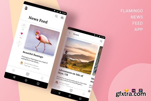 Flamingo News Feed App