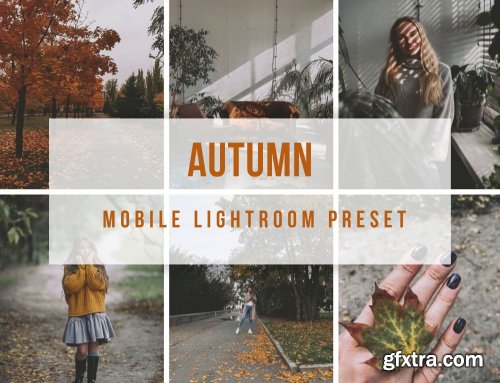 CreativeMarket - Lightroom Mobile Autumn Preset 4190986