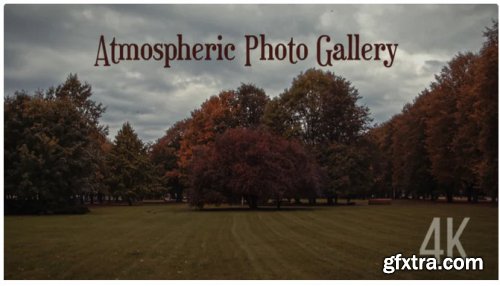 Atmospheric Photo Gallery 4K 308282