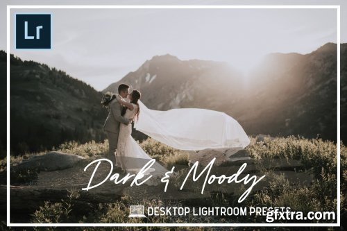 CreativeMarket - Desktop Presets Dark & Moody 4280326