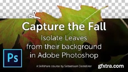 Capture the Fall - Isolate Leaves from their background in Adobe Photoshop