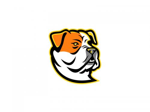 American Bulldog Mascot