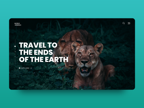 Animal world Website Concept