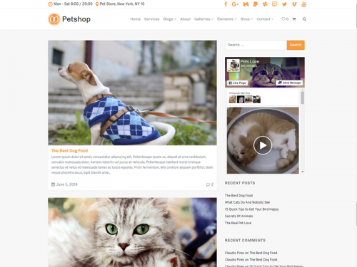 Blog Right Sidebar - Petshop WordPress Theme