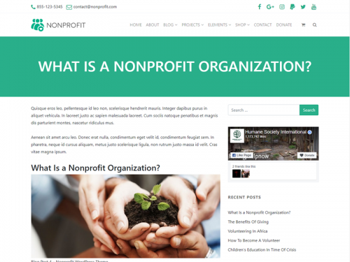 Blog Single Post Page - Nonprofit WordPress Theme