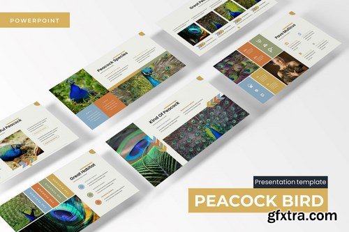 Peacock Bird - Powerpoint Google Slides and Keynote Templates