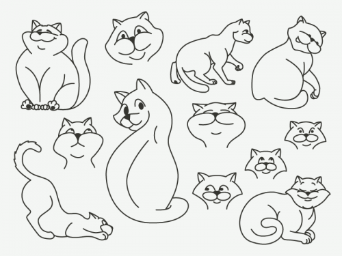 Cats illustrations