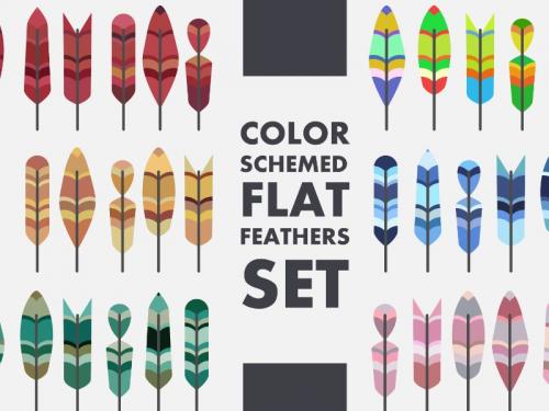 Color Schemed Flat Feathers Set