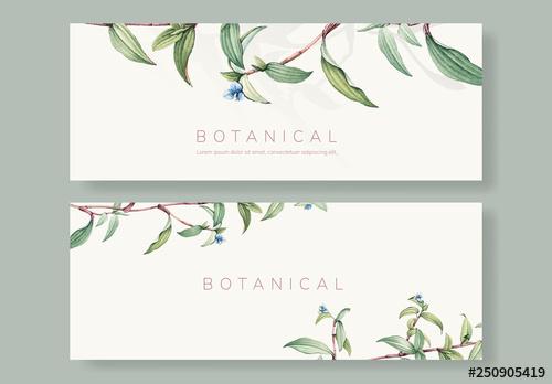 Social Media Banner Layouts with Botanical Illustrations - 250905419