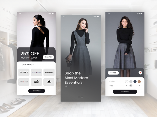 E-commerce App Concept
