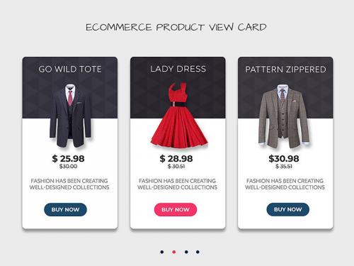E-Commerce Product View Card Web Ui Template