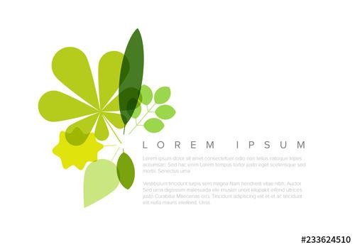 Web Banner Layout with Leaf Illustrations - 233624510
