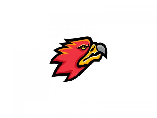Firebird Head Mascot