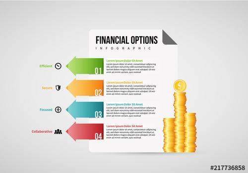 Financial Options Infographic Layout - 217736858