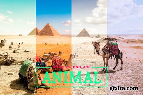 CreativeMarket - Animal LR Mobile and ACR Presets 4170065