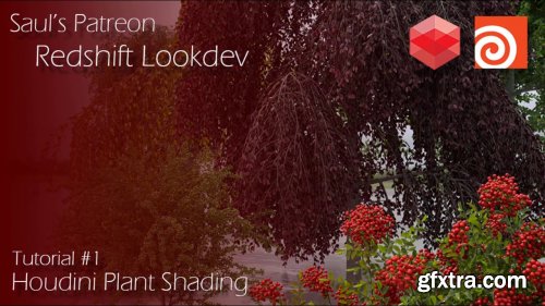 Plant Shading in Redshift for Houdini