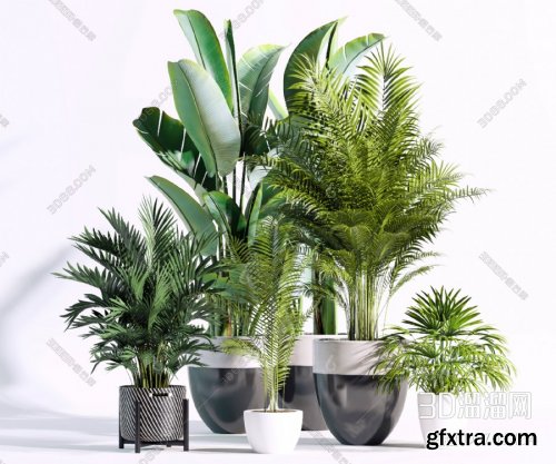Modern potted plant 03 3D model